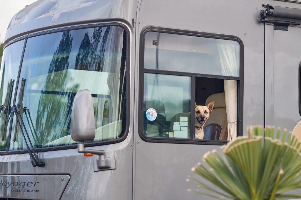 Dog in an RV